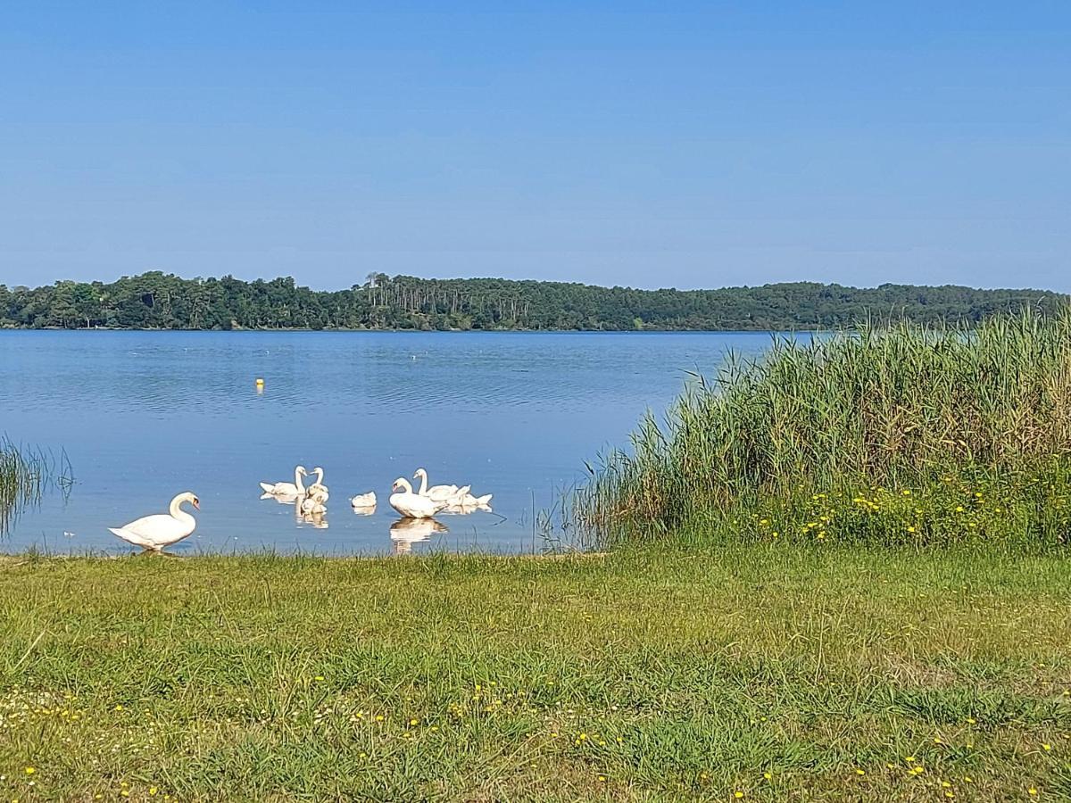 T2, 50M Du Lac, Piscine, Wifi, Jardin Terrasse Sans Vis-A-Vis, 1 A 4 Pers Aureilhan  Exterior photo