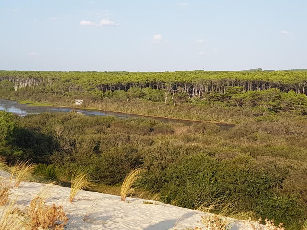 T2, 50M Du Lac, Piscine, Wifi, Jardin Terrasse Sans Vis-A-Vis, 1 A 4 Pers Aureilhan  Exterior photo